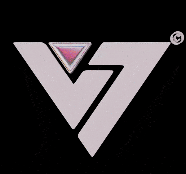 Vision Labs